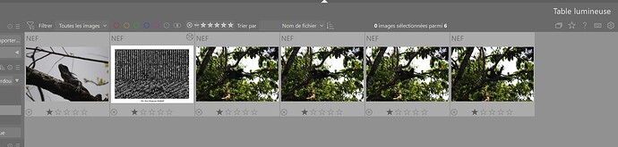 vignette table lumineuse
