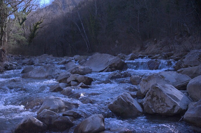 DSC0547B